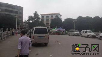 开平热点爆料事件最新,最新事件引发社会关注